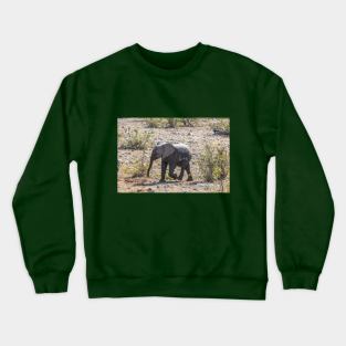 Namibia. Etosha National Park. Baby Elephant. Crewneck Sweatshirt